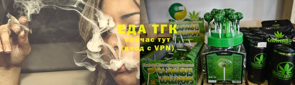 тгк Нея