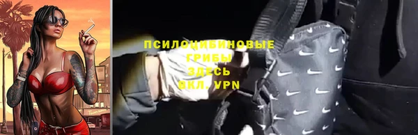 тгк Нея