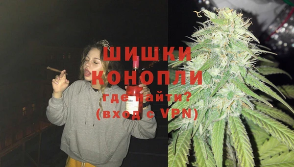 тгк Нея