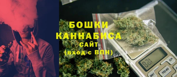 трава Надым