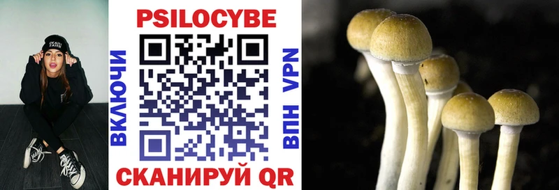 Псилоцибиновые грибы MAGIC MUSHROOMS  купить закладку  Крым 